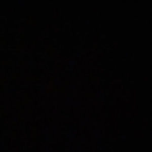 Meet your Posher, Brayden